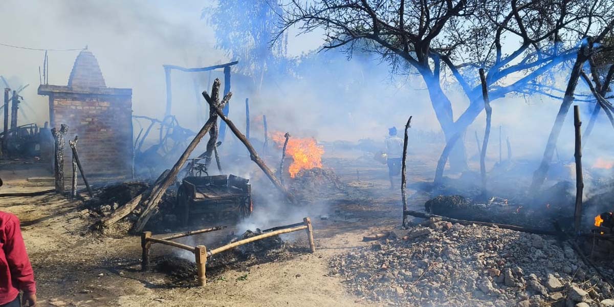8 houses caught fire, goods worth lakhs burnt to ashes, a goat and a calf also burnt alive