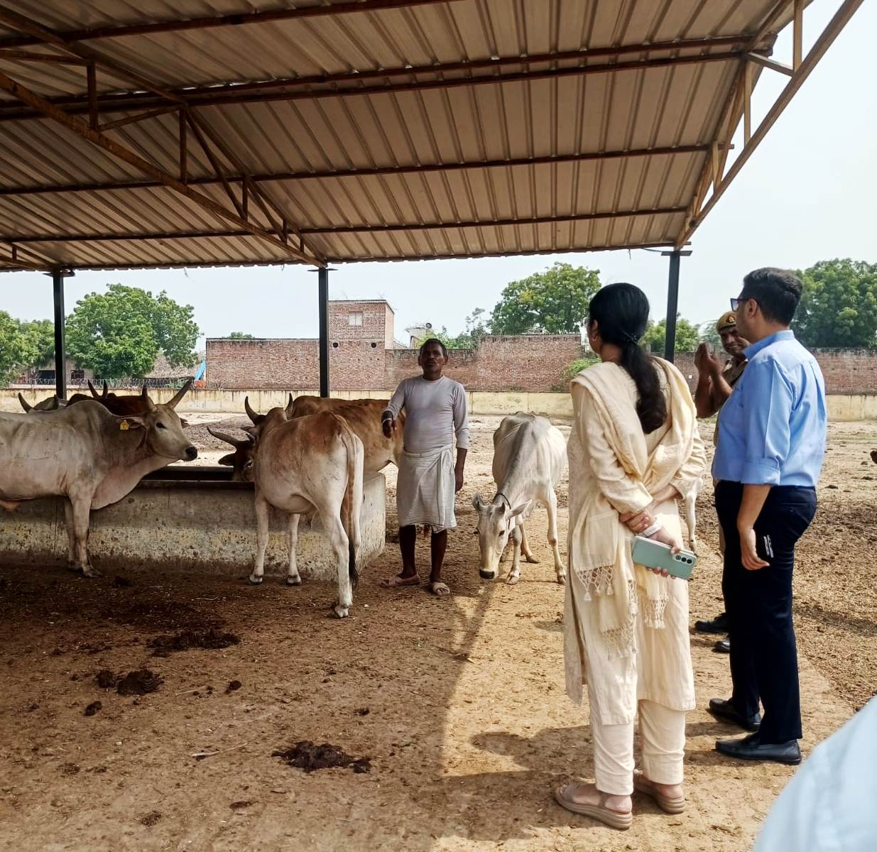 Make permanent arrangements for drainage of water from the cowshed by digging a raw drain: District Magistrate