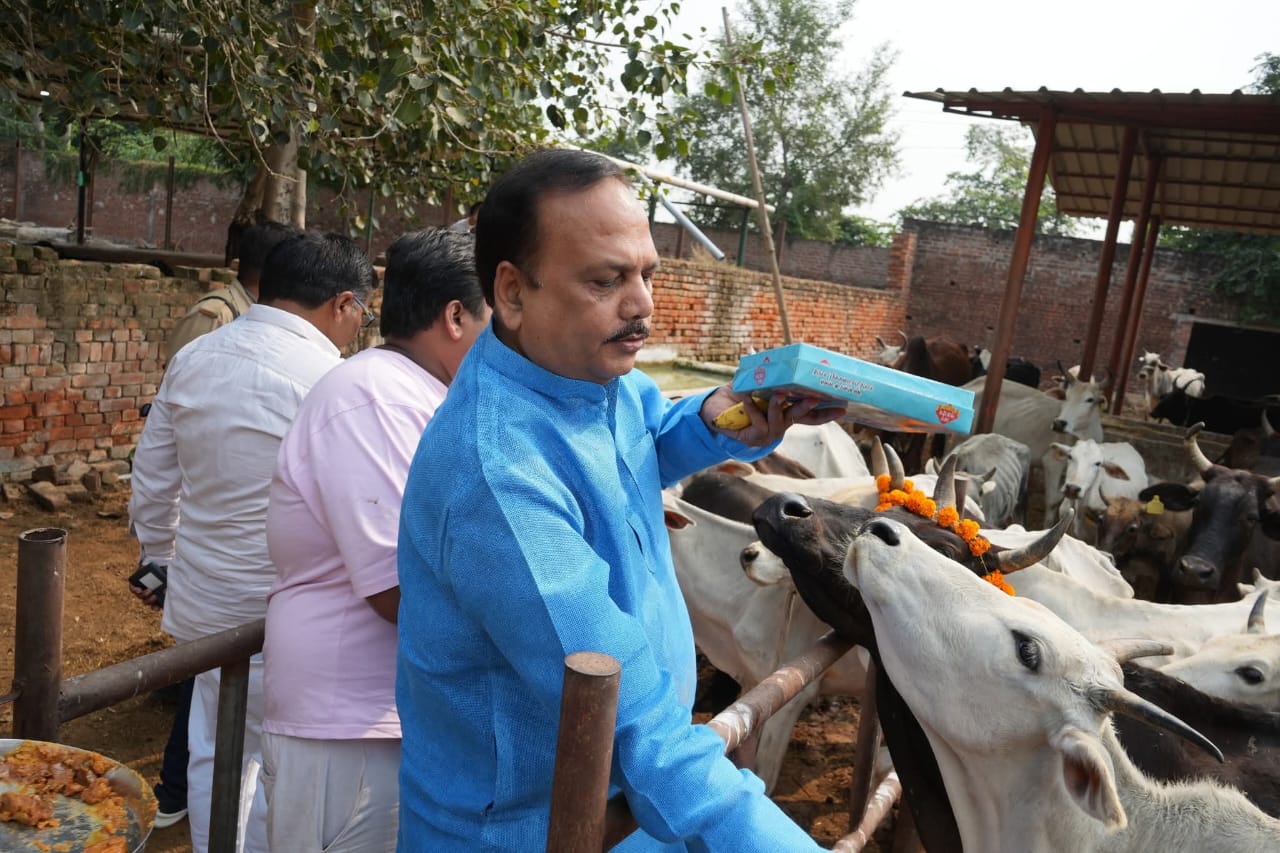Madhavendra Pratap Singh Ranu take pledge to serve cows on Govardhan Puja.