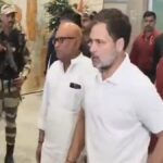 Rahul Gandhi News, Rahul Gandhi High Court Relief, Allahabad High Court News, Rahul Gandhi FIR Case, Rahul Gandhi Statement Case, Rahul Gandhi Latest News, इलाहाबाद हाई कोर्ट राहुल गांधी, राहुल गांधी FIR मामला, Congress News Hindi, Prayagraj News, Political News India, Rahul Gandhi Court Case,राहुल गांधी फोटो, इलाहाबाद हाई कोर्ट फोटो, कोर्ट केस फोटो, Rahul Gandhi Image, Allahabad HC Building Image, Political News Photo, Congress Leader Rahul Gandhi Picture, Court Hearing Image,#RahulGandhi, #AllahabadHighCourt, #Congress, #PoliticalNews, #BreakingNews, #HindiNews, #PrayagrajNews, #CourtNews, #IndiaPolitics, #LatestNews, #TrendingNews, #UPNews, #RahulGandhiNews,