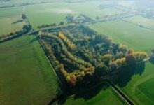 Hardoi food forest scheme, UP food forest project, Ji Ram Ji Yojana Hardoi, environmental initiative UP, plantation scheme Hardoi, हरदोई फूड फॉरेस्ट योजना, यूपी हरियाली योजना, ग्रामीण पोषण योजना, plantation drive UP district Hardoi, climate change green project India,फूड फॉरेस्ट हरदोई, सान्या छाबड़ा सीडीओ, आम अमरूद पौधारोपण, UP green योजना, food forest benefits India, rural nutrition project, biodiversity conservation UP, tree plantation news India,#HardoiNews, #FoodForest, #GreenUP, #Environment, #PlantationDrive, #UPGovernment, #SustainableDevelopment, #ClimateAction, #RuralDevelopment, #EcoFriendly,