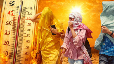 UP heatwave news, यूपी लू खबर, Uttar Pradesh weather update, Banda temperature 45 degree, heatwave India news, Lucknow weather today, UP temperature rise news, summer heat India,यूपी गर्मी फोटो, heatwave India image, Banda temperature photo, summer heat UP image, Lucknow heat weather image, India hot weather visuals, weather department UP image,उत्तर प्रदेश मौसम समाचार, UP heatwave breaking news, Banda weather update Uttar Pradesh, Lucknow temperature news, Uttar Pradesh summer alert news, India weather breaking news, heatwave alert UP districts,#UPHeatwave #UttarPradeshWeather #BandaTemperature #HeatwaveIndia #SummerAlert #LucknowWeather #WeatherUpdate #BreakingNews #IndiaWeather #HotWeather