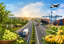 गंगा एक्सप्रेसवे खबर, प्रतापगढ़ आंवला, कौशांबी केला, प्रयागराज अमरूद, यूपी किसानों को फायदा, गंगा एक्सप्रेसवे उद्घाटन, किसानों की आय बढ़ेगी, उत्तर प्रदेश एक्सप्रेसवे न्यूज़, कृषि निर्यात यूपी,Ganga Expressway News, Pratapgarh Amla Export, Kaushambi Banana Farmers, Prayagraj Guava Market, UP Farmers Benefit, Ganga Expressway Inauguration, Uttar Pradesh Agriculture News, Farmer Income UP,गंगा एक्सप्रेसवे फोटो, प्रतापगढ़ आंवला तस्वीर, कौशांबी केला खेत फोटो, प्रयागराज अमरूद बाग फोटो, यूपी किसान फोटो,Ganga Expressway image, Pratapgarh amla photo, Kaushambi banana farm image, Prayagraj guava orchard photo, UP farmers image,#GangaExpressway, #PratapgarhAmla, #KaushambiBanana, #PrayagrajGuava, #UPNews, #FarmersNews, #AgricultureNews, #PMModi, #UttarPradesh, #BreakingNews,