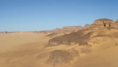 सहारा धूल तूफान, हबूब तूफान क्या है, सहारा रेगिस्तान तूफान, धूल तूफान खबर, अंतरराष्ट्रीय मौसम खबर, अफ्रीका तूफान,Sahara dust storm, Haboob storm, Sahara desert storm 2026, Africa dust storm news, global weather update,सहारा तूफान फोटो, हबूब धूल तूफान इमेज, Sahara storm satellite image, dust storm Africa map, red rain effect,सहारा रेगिस्तान धूल तूफान अंतरराष्ट्रीय खबर, अफ्रीका मौसम अपडेट, वैश्विक जलवायु परिवर्तन न्यूज, Sahara desert storm global news, Africa weather breaking news, climate change impact world news,#SaharaStorm, #DustStorm, #Haboob, #ClimateChange, #GlobalNews, #WeatherUpdate, #AfricaStorm, #BreakingNews