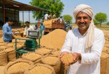 गोरखपुर किसान समाचार, उत्तर प्रदेश गेहूं खरीद खबर, यूपी कृषि नीति, गेहूं खरीद राहत योजना, मौसम प्रभावित फसल उत्तर प्रदेश, Gorakhpur Agriculture News, Uttar Pradesh Wheat Procurement Update, Wheat Purchase Policy India, Farmer Relief Uttar Pradesh, UP Food Department News,#WheatProcurement, #UPFarmers, #AgricultureNews, #WheatPurchase, #UttarPradesh, #FarmerRelief, #MSPNews, #CropDamage, #AgriculturePolicy, #WheatUpdate,Wheat Procurement Update, Farmer Relief Scheme UP, Weather Damaged Wheat, Wheat Purchase Center News, Agriculture Policy India, Wheat Procurement Relaxation India, MSP Wheat Purchase Update, Wheat Quality Standards, Farmer Support News, Food Department UP,गेहूं खरीद में राहत, यूपी किसान योजना, मौसम से खराब गेहूं, गेहूं खरीद केंद्र, कृषि समाचार यूपी, किसान राहत खबर, गेहूं एमएसपी अपडेट, खाद्य एवं रसद विभाग, रबी विपणन सीजन, किसान हित निर्णय,UP Wheat Procurement Relaxation, Wheat Purchase Rules Uttar Pradesh, Weather Affected Wheat Purchase, Wheat Procurement India 2026, Farmer Relief UP, Wheat Quality Relaxation, MSP Wheat Purchase News, Wheat Buying Rules India, Agriculture News Uttar Pradesh, Wheat Procurement Policy,उत्तर प्रदेश गेहूं खरीद, गेहूं खरीद नियम राहत, यूपी किसान खबर, मौसम प्रभावित गेहूं, गेहूं खरीद 2026, गेहूं खरीद नियम बदलाव, यूपी खाद्य विभाग, गेहूं गुणवत्ता मानक, किसान राहत योजना, गेहूं खरीद अपडेट,