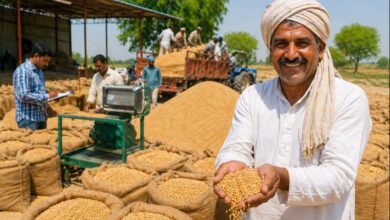 गोरखपुर किसान समाचार, उत्तर प्रदेश गेहूं खरीद खबर, यूपी कृषि नीति, गेहूं खरीद राहत योजना, मौसम प्रभावित फसल उत्तर प्रदेश, Gorakhpur Agriculture News, Uttar Pradesh Wheat Procurement Update, Wheat Purchase Policy India, Farmer Relief Uttar Pradesh, UP Food Department News,#WheatProcurement, #UPFarmers, #AgricultureNews, #WheatPurchase, #UttarPradesh, #FarmerRelief, #MSPNews, #CropDamage, #AgriculturePolicy, #WheatUpdate,Wheat Procurement Update, Farmer Relief Scheme UP, Weather Damaged Wheat, Wheat Purchase Center News, Agriculture Policy India, Wheat Procurement Relaxation India, MSP Wheat Purchase Update, Wheat Quality Standards, Farmer Support News, Food Department UP,गेहूं खरीद में राहत, यूपी किसान योजना, मौसम से खराब गेहूं, गेहूं खरीद केंद्र, कृषि समाचार यूपी, किसान राहत खबर, गेहूं एमएसपी अपडेट, खाद्य एवं रसद विभाग, रबी विपणन सीजन, किसान हित निर्णय,UP Wheat Procurement Relaxation, Wheat Purchase Rules Uttar Pradesh, Weather Affected Wheat Purchase, Wheat Procurement India 2026, Farmer Relief UP, Wheat Quality Relaxation, MSP Wheat Purchase News, Wheat Buying Rules India, Agriculture News Uttar Pradesh, Wheat Procurement Policy,उत्तर प्रदेश गेहूं खरीद, गेहूं खरीद नियम राहत, यूपी किसान खबर, मौसम प्रभावित गेहूं, गेहूं खरीद 2026, गेहूं खरीद नियम बदलाव, यूपी खाद्य विभाग, गेहूं गुणवत्ता मानक, किसान राहत योजना, गेहूं खरीद अपडेट,