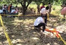 Pratapgarh murder case, UP crime news, Young woman killed Pratapgarh, Manikpur incident, Uttar Pradesh crime update, Body found hanging tree UP, Pratapgarh police news, India crime report, Woman murder case UP, Breaking news Pratapgarh,प्रतापगढ़ हत्या मामला, प्रतापगढ़ युवती हत्या, यूपी क्राइम न्यूज, मानिकपुर घटना, प्रतापगढ़ पुलिस जांच, उत्तर प्रदेश अपराध समाचार, युवती शव पेड़ पर मिला, प्रतापगढ़ ताजा खबर, यूपी ब्रेकिंग न्यूज, महिला अपराध खबर,प्रतापगढ़ पुलिस फोटो, अपराध स्थल तस्वीर, यूपी पुलिस जांच, युवती हत्या खबर, प्रतापगढ़ समाचार फोटो,Pratapgarh police image, crime scene photo, UP police investigation, murder case image, Uttar Pradesh crime news,#Pratapgarh #UPCrime #BreakingNews #UttarPradesh #CrimeNews #PoliceInvestigation #HindiNews #WomenSafety #Justice #LocalNews,