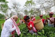 PM मोदी असम चाय बागान, PM Modi Assam Tea Garden Visit, Dibrugarh Tea Garden News, Assam Election 2026, Narendra Modi Tea Leaves, Assam Tea Production, BJP Assam Campaign, India Politics News,PM Modi tea garden selfie, Assam tea workers meeting, Modi in Dibrugarh images, tea plantation India, Assam tea industry news, election campaign Modi Assam,डिब्रूगढ़ असम राजनीतिक खबर, Assam election news 2026, PM Modi campaign Assam update, tea industry news Assam India, national political news India election, BJP rally Assam news,#PMModi, #AssamTea, #Dibrugarh, #TeaGarden, #Election2026, #BJP, #IndiaPolitics, #ModiInAssam, #TeaIndustry, #BreakingNews,