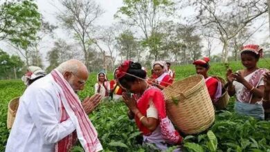 PM मोदी असम चाय बागान, PM Modi Assam Tea Garden Visit, Dibrugarh Tea Garden News, Assam Election 2026, Narendra Modi Tea Leaves, Assam Tea Production, BJP Assam Campaign, India Politics News,PM Modi tea garden selfie, Assam tea workers meeting, Modi in Dibrugarh images, tea plantation India, Assam tea industry news, election campaign Modi Assam,डिब्रूगढ़ असम राजनीतिक खबर, Assam election news 2026, PM Modi campaign Assam update, tea industry news Assam India, national political news India election, BJP rally Assam news,#PMModi, #AssamTea, #Dibrugarh, #TeaGarden, #Election2026, #BJP, #IndiaPolitics, #ModiInAssam, #TeaIndustry, #BreakingNews,