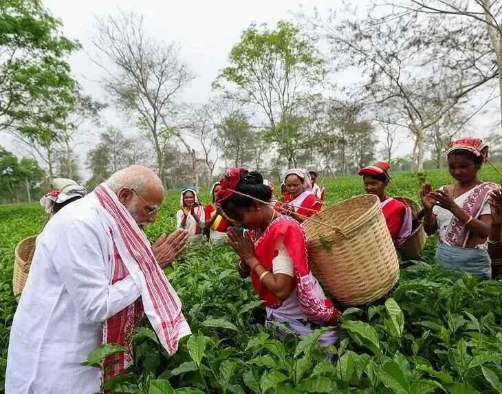 PM मोदी असम चाय बागान, PM Modi Assam Tea Garden Visit, Dibrugarh Tea Garden News, Assam Election 2026, Narendra Modi Tea Leaves, Assam Tea Production, BJP Assam Campaign, India Politics News,PM Modi tea garden selfie, Assam tea workers meeting, Modi in Dibrugarh images, tea plantation India, Assam tea industry news, election campaign Modi Assam,डिब्रूगढ़ असम राजनीतिक खबर, Assam election news 2026, PM Modi campaign Assam update, tea industry news Assam India, national political news India election, BJP rally Assam news,#PMModi, #AssamTea, #Dibrugarh, #TeaGarden, #Election2026, #BJP, #IndiaPolitics, #ModiInAssam, #TeaIndustry, #BreakingNews,