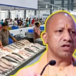 मत्स्य पालन योजना यूपी, गोरखपुर फिश मंडी, मुरादाबाद फिश मार्केट, योगी सरकार मत्स्य योजना, यूपी फिश मार्केट प्रोजेक्ट, गोरखपुर एक्वा पार्क, मत्स्य प्रसंस्करण केंद्र यूपी, यूपी मत्स्य विभाग, फिश एक्सपोर्ट यूपी, PPP मॉडल फिश मंडी, मुकेश कुमार मेश्राम, उत्तर प्रदेश मत्स्य पालन समाचार, गोरखपुर न्यूज, मुरादाबाद न्यूज, लखनऊ राज्य ब्यूरो, यूपी सरकारी योजना,Matsya Palan Yojana UP, Gorakhpur Fish Market Project, Moradabad Fish Mandi, Yogi Government Fishery Scheme, UP Fisheries Department, Aqua Park Gorakhpur, Fish Processing Center UP, Uttar Pradesh Fish Export Plan, PPP Fish Market Project, Modern Fish Market UP, Mukesh Kumar Meshram, Gorakhpur News, Moradabad News, Uttar Pradesh Government Scheme, Fisheries Infrastructure UP,गोरखपुर फिश मंडी फोटो, यूपी मत्स्य योजना इमेज, मुरादाबाद फिश मार्केट तस्वीर, एक्वा पार्क गोरखपुर, मत्स्य प्रसंस्करण केंद्र फोटो, योगी सरकार योजना, यूपी फिश मार्केट इंफ्रास्ट्रक्चर, आधुनिक फिश मंडी यूपी, मत्स्य पालन योजना ग्राफिक्स,Gorakhpur Fish Market Image, UP Fisheries Scheme Photo, Moradabad Fish Market Picture, Aqua Park Gorakhpur Image, Fish Processing Center UP, Yogi Government Fisheries Plan, Modern Fish Market Infrastructure, Uttar Pradesh Fishery Project, Fish Export Facility UP,#MatsyaPalanYojana #UPFishMarket #Gorakhpur #Moradabad #YogiGovernment #FishMarketUP #AquaPark #FishProcessingCenter #UPNews #FisheriesDepartment #GorakhpurNews #MoradabadNews #UttarPradesh #PPPModel #FishExport #मत्स्य_पालन #योगी_सरकार #गोरखपुर #मुरादाबाद #फिश_मंडी #उत्तरप्रदेश_समाचार
