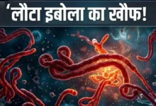 इबोला वायरस वाराणसी, वाराणसी स्वास्थ्य विभाग अलर्ट, यूपी इबोला वायरस खबर, वाराणसी एयरपोर्ट स्क्रीनिंग, इबोला संक्रमण यूपी, स्वास्थ्य विभाग वाराणसी, Ebola Virus Varanasi, Ebola alert Uttar Pradesh, Varanasi airport screening, Ebola outbreak news India, UP health department alert, Ebola monitoring India, International passengers screening,इबोला वायरस फोटो, वाराणसी एयरपोर्ट जांच, स्वास्थ्य विभाग वाराणसी, थर्मल स्क्रीनिंग एयरपोर्ट, वाराणसी मेडिकल टीम, इबोला वायरस अलर्ट यूपी, Ebola virus image, Varanasi airport checkup, Thermal screening passengers, UP health department photo, Ebola alert India, Medical surveillance Varanasi,वाराणसी इबोला वायरस अलर्ट, यूपी स्वास्थ्य विभाग खबर, इबोला वायरस भारत, Ebola virus latest news, Varanasi Ebola alert today, WHO Ebola warning, यूपी मेडिकल अलर्ट, एयरपोर्ट स्क्रीनिंग न्यूज, इबोला संक्रमण अपडेट, उत्तर प्रदेश स्वास्थ्य समाचार, वाराणसी ब्रेकिंग न्यूज,#EbolaVirus, #Varanasi, #UPHealthDepartment, #HealthAlert, #EbolaAlert, #WHO, #UttarPradesh, #MedicalAlert, #AirportScreening, #BreakingNews, #इबोला_वायरस, #वाराणसी, #स्वास्थ्य_विभाग, #यूपी_न्यूज, #हेल्थ_अलर्ट, #ब्रेकिंग_न्यूज,
