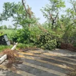 यूपी मौसम समाचार, यूपी आंधी तूफान, यूपी लू अलर्ट, लखीमपुर तूफान, गोंडा मौसम खबर, बस्ती हादसा, संतकबीरनगर बिजली पोल, यूपी बिजली संकट, यूपी बारिश खबर, यूपी मौसम अपडेट, बांदा तापमान, यूपी हीटवेव, उत्तर प्रदेश मौसम, ट्रेन बाधित खबर, लखनऊ मौसम समाचार,UP Weather News, UP Storm News, Uttar Pradesh Heatwave, Lakhimpur Storm, Gonda Train Disruption, Basti Storm Incident, Sant Kabir Nagar Power Cut, UP Rain Alert, Banda Temperature, Uttar Pradesh Weather Update, UP Thunderstorm News, Heatwave in UP, India Weather News,UP Storm Image, Lakhimpur Fire Photo, Gonda Railway Track Image, Fallen Electric Pole Photo, Uttar Pradesh Weather Image, Heatwave Picture, Thunderstorm Damage Photo,यूपी आंधी तस्वीर, लखीमपुर आग फोटो, गोंडा रेलवे ट्रैक फोटो, बिजली पोल गिरने की तस्वीर, तूफान से तबाही फोटो, यूपी मौसम इमेज, लू की तस्वीर,#UPWeather, #UttarPradesh, #Heatwave, #StormNews, #Lakhimpur, #Gonda, #Basti, #WeatherAlert, #UPNews, #RainAlert, #Thunderstorm, #BandaHeatwave, #BreakingNews, #IndiaWeather, #CycloneAlert,