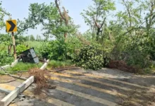 यूपी मौसम समाचार, यूपी आंधी तूफान, यूपी लू अलर्ट, लखीमपुर तूफान, गोंडा मौसम खबर, बस्ती हादसा, संतकबीरनगर बिजली पोल, यूपी बिजली संकट, यूपी बारिश खबर, यूपी मौसम अपडेट, बांदा तापमान, यूपी हीटवेव, उत्तर प्रदेश मौसम, ट्रेन बाधित खबर, लखनऊ मौसम समाचार,UP Weather News, UP Storm News, Uttar Pradesh Heatwave, Lakhimpur Storm, Gonda Train Disruption, Basti Storm Incident, Sant Kabir Nagar Power Cut, UP Rain Alert, Banda Temperature, Uttar Pradesh Weather Update, UP Thunderstorm News, Heatwave in UP, India Weather News,UP Storm Image, Lakhimpur Fire Photo, Gonda Railway Track Image, Fallen Electric Pole Photo, Uttar Pradesh Weather Image, Heatwave Picture, Thunderstorm Damage Photo,यूपी आंधी तस्वीर, लखीमपुर आग फोटो, गोंडा रेलवे ट्रैक फोटो, बिजली पोल गिरने की तस्वीर, तूफान से तबाही फोटो, यूपी मौसम इमेज, लू की तस्वीर,#UPWeather, #UttarPradesh, #Heatwave, #StormNews, #Lakhimpur, #Gonda, #Basti, #WeatherAlert, #UPNews, #RainAlert, #Thunderstorm, #BandaHeatwave, #BreakingNews, #IndiaWeather, #CycloneAlert,