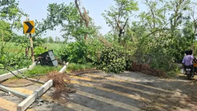 यूपी मौसम समाचार, यूपी आंधी तूफान, यूपी लू अलर्ट, लखीमपुर तूफान, गोंडा मौसम खबर, बस्ती हादसा, संतकबीरनगर बिजली पोल, यूपी बिजली संकट, यूपी बारिश खबर, यूपी मौसम अपडेट, बांदा तापमान, यूपी हीटवेव, उत्तर प्रदेश मौसम, ट्रेन बाधित खबर, लखनऊ मौसम समाचार,UP Weather News, UP Storm News, Uttar Pradesh Heatwave, Lakhimpur Storm, Gonda Train Disruption, Basti Storm Incident, Sant Kabir Nagar Power Cut, UP Rain Alert, Banda Temperature, Uttar Pradesh Weather Update, UP Thunderstorm News, Heatwave in UP, India Weather News,UP Storm Image, Lakhimpur Fire Photo, Gonda Railway Track Image, Fallen Electric Pole Photo, Uttar Pradesh Weather Image, Heatwave Picture, Thunderstorm Damage Photo,यूपी आंधी तस्वीर, लखीमपुर आग फोटो, गोंडा रेलवे ट्रैक फोटो, बिजली पोल गिरने की तस्वीर, तूफान से तबाही फोटो, यूपी मौसम इमेज, लू की तस्वीर,#UPWeather, #UttarPradesh, #Heatwave, #StormNews, #Lakhimpur, #Gonda, #Basti, #WeatherAlert, #UPNews, #RainAlert, #Thunderstorm, #BandaHeatwave, #BreakingNews, #IndiaWeather, #CycloneAlert,