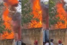 Prasar Bharati Fire Incident, Delhi Secretariat Transformer Fire, Fire at Government Office Delhi, Copernicus Marg Incident, Delhi Fire Brigade Action, New Delhi Breaking Fire, Transformer Explosion Delhi, Emergency Situation Delhi,#DelhiFire, #PrasarBharati, #BreakingNews, #DelhiNews, #FireIncident, #TransformerFire, #NewDelhi, #CopernicusMarg, #FireBrigade, #IndiaNews, #EmergencyAlert, #GovernmentBuildingFire, #LatestNews, #DelhiBreaking,प्रसार भारती सचिवालय में आग, दिल्ली में ट्रांसफार्मर में आग, कोपरनिकस मार्ग हादसा, नई दिल्ली आग अपडेट, सरकारी भवन आग घटना, दिल्ली फायर ब्रिगेड, राजधानी में आग, दिल्ली प्रशासन अलर्ट,दिल्ली आग खबर, प्रसार भारती सचिवालय आग, दिल्ली ट्रांसफार्मर आग, कोपरनिकस मार्ग आग, दिल्ली ब्रेकिंग न्यूज, प्रसार भारती भवन आग, दिल्ली फायर न्यूज, सरकारी भवन में आग, नई दिल्ली हादसा, दिल्ली दमकल विभाग, ट्रांसफार्मर ब्लास्ट खबर, दिल्ली लाइव अपडेट, दिल्ली प्रशासन, राजधानी दिल्ली आग, सरकारी दफ्तर में आग,