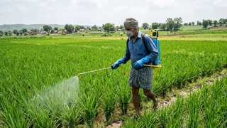 राजस्थान कीटनाशक मौतें, किसानों की मौत, राजस्थान किसान समाचार, कीटनाशक दवा खतरा, राजस्थान विधानसभा, कृषि विभाग रिपोर्ट, घटिया कीटनाशक, किसान सुरक्षा, बीकानेर किसान मौत, चूरू किसान समाचार, हनुमानगढ़ कृषि खबर, कृषि संकट राजस्थान, कीटनाशक जांच रिपोर्ट, किसान स्वास्थ्य, राष्ट्रीय कृषि समाचार,Rajasthan Pesticide Deaths, Farmer Deaths Rajasthan, Pesticide Poisoning News, Rajasthan Assembly News, Agriculture Department Report, Failed Pesticide Samples, Farmer Safety India, Rajasthan Agriculture News, Bikaner Farmers News, Churu Agriculture News, Hanumangarh Farmers, Agrochemical Safety, Pesticide Quality Test, India Farming News, National Agriculture News,कीटनाशक छिड़काव, किसान खेत में काम करते हुए, राजस्थान खेती, कृषि रसायन, किसान सुरक्षा उपकरण, कीटनाशक जांच, कृषि विभाग, खेतों में रसायन, किसान स्वास्थ्य जोखिम, राजस्थान किसान,Pesticide Spraying, Farmers in Field, Rajasthan Agriculture, Agro Chemicals, Farmer Safety Gear, Pesticide Testing, Agriculture Department, Farming Chemicals, Health Risk Farmers, Rajasthan Farmers,#RajasthanNews, #FarmerDeaths, #PesticideNews, #AgricultureNews, #KisanSamachar, #RajasthanAssembly, #FarmerSafety, #PesticidePoisoning, #BikanerNews, #ChuruNews, #HanumangarhNews, #AgricultureCrisis, #KisanNews, #NationalNews, #HindiNews, #BreakingNews, #AgroChemicals, #FarmingIndia, #RajasthanFarmers, #LatestNews,