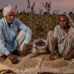 उत्तर प्रदेश बाजरा उत्पादन, ज्वार उत्पादन यूपी, श्रीअन्न मिशन, मोटे अनाज खेती, बाजरा खेती समाचार, ज्वार खेती समाचार, यूपी कृषि समाचार, कृषि विभाग उत्तर प्रदेश, मिलेट्स उत्पादन, खरीफ फसल 2026, किसानों की खबर, कृषि अपडेट, लखनऊ कृषि समाचार, उत्तर प्रदेश कृषि,UP Millets Production, Bajra Production Uttar Pradesh, Jowar Farming UP, Millets Cultivation India, Uttar Pradesh Agriculture News, Kharif Crop 2026, Bajra Farming News, Jowar Production, Agriculture Department UP, Millets Mission India, Farmers News UP, Agriculture Update India,बाजरा फसल, ज्वार फसल, श्रीअन्न उत्पादन, कृषि विभाग, किसान समाचार, खरीफ खेती, उत्तर प्रदेश किसान, कृषि योजना, फसल उत्पादन, मौसम का असर,Bajra Crop, Jowar Crop, Millets Production, Agriculture Department, Farmer News, Kharif Farming, Uttar Pradesh Farmers, Crop Yield, Agriculture Scheme, Weather Impact,#Millets #ShreeAnna #Bajra #Jowar #UPAgriculture #FarmersNews #AgricultureNews #UttarPradesh #KharifCrop #MilletsMission #CropProduction #FarmingNews #LucknowNews #AgricultureDepartment #GoogleDiscover #BreakingNews #IndiaAgriculture #FarmerUpdate #BajraFarming #JowarFarming,उत्तर प्रदेश समाचार, कृषि समाचार, किसान समाचार, लखनऊ, कृषि विभाग, श्रीअन्न मिशन, खरीफ फसल, Google Discover News, ग्रामीण अर्थव्यवस्था, कृषि नीति.