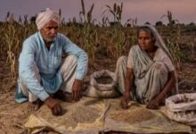 उत्तर प्रदेश बाजरा उत्पादन, ज्वार उत्पादन यूपी, श्रीअन्न मिशन, मोटे अनाज खेती, बाजरा खेती समाचार, ज्वार खेती समाचार, यूपी कृषि समाचार, कृषि विभाग उत्तर प्रदेश, मिलेट्स उत्पादन, खरीफ फसल 2026, किसानों की खबर, कृषि अपडेट, लखनऊ कृषि समाचार, उत्तर प्रदेश कृषि,UP Millets Production, Bajra Production Uttar Pradesh, Jowar Farming UP, Millets Cultivation India, Uttar Pradesh Agriculture News, Kharif Crop 2026, Bajra Farming News, Jowar Production, Agriculture Department UP, Millets Mission India, Farmers News UP, Agriculture Update India,बाजरा फसल, ज्वार फसल, श्रीअन्न उत्पादन, कृषि विभाग, किसान समाचार, खरीफ खेती, उत्तर प्रदेश किसान, कृषि योजना, फसल उत्पादन, मौसम का असर,Bajra Crop, Jowar Crop, Millets Production, Agriculture Department, Farmer News, Kharif Farming, Uttar Pradesh Farmers, Crop Yield, Agriculture Scheme, Weather Impact,#Millets #ShreeAnna #Bajra #Jowar #UPAgriculture #FarmersNews #AgricultureNews #UttarPradesh #KharifCrop #MilletsMission #CropProduction #FarmingNews #LucknowNews #AgricultureDepartment #GoogleDiscover #BreakingNews #IndiaAgriculture #FarmerUpdate #BajraFarming #JowarFarming,उत्तर प्रदेश समाचार, कृषि समाचार, किसान समाचार, लखनऊ, कृषि विभाग, श्रीअन्न मिशन, खरीफ फसल, Google Discover News, ग्रामीण अर्थव्यवस्था, कृषि नीति.