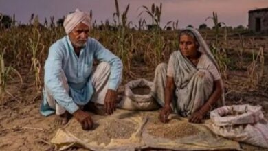 उत्तर प्रदेश बाजरा उत्पादन, ज्वार उत्पादन यूपी, श्रीअन्न मिशन, मोटे अनाज खेती, बाजरा खेती समाचार, ज्वार खेती समाचार, यूपी कृषि समाचार, कृषि विभाग उत्तर प्रदेश, मिलेट्स उत्पादन, खरीफ फसल 2026, किसानों की खबर, कृषि अपडेट, लखनऊ कृषि समाचार, उत्तर प्रदेश कृषि,UP Millets Production, Bajra Production Uttar Pradesh, Jowar Farming UP, Millets Cultivation India, Uttar Pradesh Agriculture News, Kharif Crop 2026, Bajra Farming News, Jowar Production, Agriculture Department UP, Millets Mission India, Farmers News UP, Agriculture Update India,बाजरा फसल, ज्वार फसल, श्रीअन्न उत्पादन, कृषि विभाग, किसान समाचार, खरीफ खेती, उत्तर प्रदेश किसान, कृषि योजना, फसल उत्पादन, मौसम का असर,Bajra Crop, Jowar Crop, Millets Production, Agriculture Department, Farmer News, Kharif Farming, Uttar Pradesh Farmers, Crop Yield, Agriculture Scheme, Weather Impact,#Millets #ShreeAnna #Bajra #Jowar #UPAgriculture #FarmersNews #AgricultureNews #UttarPradesh #KharifCrop #MilletsMission #CropProduction #FarmingNews #LucknowNews #AgricultureDepartment #GoogleDiscover #BreakingNews #IndiaAgriculture #FarmerUpdate #BajraFarming #JowarFarming,उत्तर प्रदेश समाचार, कृषि समाचार, किसान समाचार, लखनऊ, कृषि विभाग, श्रीअन्न मिशन, खरीफ फसल, Google Discover News, ग्रामीण अर्थव्यवस्था, कृषि नीति.