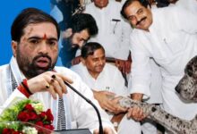 अतीक अहमद, सतीश शर्मा बयान, मुलायम सिंह यादव, समाजवादी पार्टी, भाजपा, योगी सरकार, बाराबंकी समाचार, यूपी राजनीति, उत्तर प्रदेश राजनीतिक खबर, माफिया राजनीति, कानून व्यवस्था यूपी, सपा भाजपा विवाद, दरियाबाद विधानसभा, यूपी मंत्री बयान, राजनीतिक विवाद,Atiq Ahmed, Satish Sharma Statement, Mulayam Singh Yadav News, Samajwadi Party, BJP Uttar Pradesh, Yogi Adityanath Government, Barabanki News, UP Politics, Uttar Pradesh Political News, Mafia Politics, Law and Order UP, SP BJP Controversy, Daryabad Assembly, UP Minister News, Political Statement,अतीक अहमद फोटो, सतीश शर्मा मंत्री, बाराबंकी कार्यक्रम, मुलायम सिंह यादव, सपा भाजपा विवाद, यूपी राजनीति 2026, योगी सरकार समाचार, उत्तर प्रदेश राजनीतिक बयान, माफिया पर कार्रवाई, भाजपा नेता बयान,Atiq Ahmed Photo, Satish Sharma Minister, Barabanki Event, Mulayam Singh Yadav Image, SP BJP Political Clash, UP Politics 2026, Yogi Government News, Uttar Pradesh Politics, Mafia Crackdown, BJP Leader Statement,#AtiqAhmed, #SatishSharma, #MulayamSinghYadav, #SamajwadiParty, #BJP, #UPPolitics, #BarabankiNews, #YogiAdityanath, #PoliticalNews, #UttarPradesh, #BreakingNews, #HindiNews, #SPvsBJP, #MafiaPolitics,