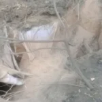 मथुरा कब्रिस्तान मामला, मथुरा समाचार, कब्रिस्तान में बुलडोजर, मनोहरपुरा कब्रिस्तान, नगर निगम मथुरा, नेचर ग्रीन कंपनी, कब्र क्षतिग्रस्त, मथुरा विवाद, उत्तर प्रदेश समाचार, धार्मिक स्थल विवाद, कब्रिस्तान भूमि विवाद, मथुरा नगर निगम, आईजीआरएस शिकायत, स्थानीय समाचार,Mathura Cemetery News, Mathura Kabristan Case, Bulldozer Damage in Cemetery, Nature Green Company, Mathura Nagar Nigam, Grave Damage Case, Uttar Pradesh News, Local News, Religious Site Controversy, Cemetery Land Dispute, IGRS Complaint, Mathura News Today,मथुरा कब्रिस्तान, क्षतिग्रस्त कब्रें, बुलडोजर कार्रवाई, नगर निगम जांच, कब्रिस्तान विवाद, धार्मिक स्थल नुकसान, मथुरा स्थानीय खबर,Mathura Cemetery Damage, Bulldozer Action, Grave Damage News, Municipal Investigation, Cemetery Controversy, Religious Site Damage, Local News Mathura,#MathuraNews, #Mathura, #Kabristan, #Bulldozer, #UttarPradeshNews, #LocalNews, #BreakingNews, #CemeteryNews, #MunicipalCorporation, #UPNews, #HindiNews, #GoogleDiscover, #ReligiousNews, #MathuraKabristan, #CityNews,