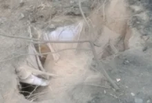 मथुरा कब्रिस्तान मामला, मथुरा समाचार, कब्रिस्तान में बुलडोजर, मनोहरपुरा कब्रिस्तान, नगर निगम मथुरा, नेचर ग्रीन कंपनी, कब्र क्षतिग्रस्त, मथुरा विवाद, उत्तर प्रदेश समाचार, धार्मिक स्थल विवाद, कब्रिस्तान भूमि विवाद, मथुरा नगर निगम, आईजीआरएस शिकायत, स्थानीय समाचार,Mathura Cemetery News, Mathura Kabristan Case, Bulldozer Damage in Cemetery, Nature Green Company, Mathura Nagar Nigam, Grave Damage Case, Uttar Pradesh News, Local News, Religious Site Controversy, Cemetery Land Dispute, IGRS Complaint, Mathura News Today,मथुरा कब्रिस्तान, क्षतिग्रस्त कब्रें, बुलडोजर कार्रवाई, नगर निगम जांच, कब्रिस्तान विवाद, धार्मिक स्थल नुकसान, मथुरा स्थानीय खबर,Mathura Cemetery Damage, Bulldozer Action, Grave Damage News, Municipal Investigation, Cemetery Controversy, Religious Site Damage, Local News Mathura,#MathuraNews, #Mathura, #Kabristan, #Bulldozer, #UttarPradeshNews, #LocalNews, #BreakingNews, #CemeteryNews, #MunicipalCorporation, #UPNews, #HindiNews, #GoogleDiscover, #ReligiousNews, #MathuraKabristan, #CityNews,