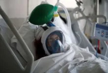 बीकानेर पीबीएम अस्पताल, राजस्थान स्वास्थ्य समाचार, डिलीवरी के बाद किडनी फेल, सिजेरियन डिलीवरी जटिलता, बीकानेर अस्पताल मामला, Bikaner PBM Hospital news, Rajasthan health news, kidney failure after delivery, cesarean delivery complications, maternal health crisis Rajasthan, ICU patients Bikaner hospital, HELLP syndrome case, Rajasthan medical negligence news, women health emergency Rajasthan, government hospital investigation,बीकानेर पीबीएम अस्पताल, Bikaner PBM Hospital, डिलीवरी के बाद महिलाओं की किडनी फेल, kidney failure after cesarean delivery, राजस्थान स्वास्थ्य विभाग जांच, Rajasthan health department investigation, आईसीयू में भर्ती महिलाएं, women admitted in ICU, वेंटिलेटर पर मरीज, patient on ventilator, मातृ स्वास्थ्य संकट राजस्थान, maternal health crisis Rajasthan, अस्पताल संक्रमण जांच, hospital infection investigation,#BikanerNews #PBMHospital #RajasthanNews #HealthNews #KidneyFailure #CesareanDelivery #MedicalNegligence #WomenHealth #JaipurNews #RajasthanHealthDepartment #ICUPatient #HospitalInvestigation #MaternalHealth #BreakingNews #GoogleDiscoverNews,