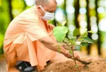 विश्व पर्यावरण दिवस 2026, एक पेड़ मां के नाम अभियान, यूपी पौधारोपण अभियान, योगी आदित्यनाथ, लखनऊ कुकरैल वन क्षेत्र, उत्तर प्रदेश पर्यावरण समाचार, 5 करोड़ पौधे, पौधारोपण कार्यक्रम, पर्यावरण संरक्षण, जलवायु परिवर्तन, उत्तर प्रदेश वन विभाग, इंदिरा गांधी प्रतिष्ठान, लखनऊ समाचार, यूपी सरकार अभियान, विश्व पर्यावरण दिवस उत्तर प्रदेश, हरित उत्तर प्रदेश,World Environment Day 2026, Ek Ped Maa Ke Naam, UP Plantation Drive, Yogi Adityanath, Kukrail Forest Lucknow, Uttar Pradesh Plantation Campaign, Five Crore Trees UP, Environment Protection UP, Climate Change Uttar Pradesh, UP Forest Department, Indira Gandhi Pratishthan Lucknow, Green Uttar Pradesh, Plantation Program, World Environment Day India, UP Green Mission,विश्व पर्यावरण दिवस, पौधारोपण अभियान, योगी आदित्यनाथ पौधारोपण, कुकरैल वन क्षेत्र, लखनऊ पर्यावरण कार्यक्रम, पांच करोड़ पौधे, हरित अभियान, उत्तर प्रदेश वन विभाग, एक पेड़ मां के नाम, पर्यावरण संरक्षण,World Environment Day, Plantation Drive, Yogi Adityanath Plantation, Kukrail Forest, Lucknow Environment Program, Five Crore Trees, Green Campaign, UP Forest Department, Ek Ped Maa Ke Naam, Environment Protection,#WorldEnvironmentDay, #EnvironmentDay2026, #EkPedMaaKeNaam, #YogiAdityanath, #UPPlantationDrive, #UttarPradesh, #GreenUP, #PlantationCampaign, #EnvironmentProtection, #ClimateChange, #LucknowNews, #KukrailForest, #UPNews, #BreakingNews, #GoogleDiscover, #TreePlantation, #GreenMission, #ForestDepartment, #WorldEnvironmentDay2026, #UPBreakingNews,