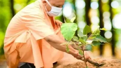 विश्व पर्यावरण दिवस 2026, एक पेड़ मां के नाम अभियान, यूपी पौधारोपण अभियान, योगी आदित्यनाथ, लखनऊ कुकरैल वन क्षेत्र, उत्तर प्रदेश पर्यावरण समाचार, 5 करोड़ पौधे, पौधारोपण कार्यक्रम, पर्यावरण संरक्षण, जलवायु परिवर्तन, उत्तर प्रदेश वन विभाग, इंदिरा गांधी प्रतिष्ठान, लखनऊ समाचार, यूपी सरकार अभियान, विश्व पर्यावरण दिवस उत्तर प्रदेश, हरित उत्तर प्रदेश,World Environment Day 2026, Ek Ped Maa Ke Naam, UP Plantation Drive, Yogi Adityanath, Kukrail Forest Lucknow, Uttar Pradesh Plantation Campaign, Five Crore Trees UP, Environment Protection UP, Climate Change Uttar Pradesh, UP Forest Department, Indira Gandhi Pratishthan Lucknow, Green Uttar Pradesh, Plantation Program, World Environment Day India, UP Green Mission,विश्व पर्यावरण दिवस, पौधारोपण अभियान, योगी आदित्यनाथ पौधारोपण, कुकरैल वन क्षेत्र, लखनऊ पर्यावरण कार्यक्रम, पांच करोड़ पौधे, हरित अभियान, उत्तर प्रदेश वन विभाग, एक पेड़ मां के नाम, पर्यावरण संरक्षण,World Environment Day, Plantation Drive, Yogi Adityanath Plantation, Kukrail Forest, Lucknow Environment Program, Five Crore Trees, Green Campaign, UP Forest Department, Ek Ped Maa Ke Naam, Environment Protection,#WorldEnvironmentDay, #EnvironmentDay2026, #EkPedMaaKeNaam, #YogiAdityanath, #UPPlantationDrive, #UttarPradesh, #GreenUP, #PlantationCampaign, #EnvironmentProtection, #ClimateChange, #LucknowNews, #KukrailForest, #UPNews, #BreakingNews, #GoogleDiscover, #TreePlantation, #GreenMission, #ForestDepartment, #WorldEnvironmentDay2026, #UPBreakingNews,