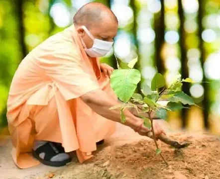 विश्व पर्यावरण दिवस 2026, एक पेड़ मां के नाम अभियान, यूपी पौधारोपण अभियान, योगी आदित्यनाथ, लखनऊ कुकरैल वन क्षेत्र, उत्तर प्रदेश पर्यावरण समाचार, 5 करोड़ पौधे, पौधारोपण कार्यक्रम, पर्यावरण संरक्षण, जलवायु परिवर्तन, उत्तर प्रदेश वन विभाग, इंदिरा गांधी प्रतिष्ठान, लखनऊ समाचार, यूपी सरकार अभियान, विश्व पर्यावरण दिवस उत्तर प्रदेश, हरित उत्तर प्रदेश,World Environment Day 2026, Ek Ped Maa Ke Naam, UP Plantation Drive, Yogi Adityanath, Kukrail Forest Lucknow, Uttar Pradesh Plantation Campaign, Five Crore Trees UP, Environment Protection UP, Climate Change Uttar Pradesh, UP Forest Department, Indira Gandhi Pratishthan Lucknow, Green Uttar Pradesh, Plantation Program, World Environment Day India, UP Green Mission,विश्व पर्यावरण दिवस, पौधारोपण अभियान, योगी आदित्यनाथ पौधारोपण, कुकरैल वन क्षेत्र, लखनऊ पर्यावरण कार्यक्रम, पांच करोड़ पौधे, हरित अभियान, उत्तर प्रदेश वन विभाग, एक पेड़ मां के नाम, पर्यावरण संरक्षण,World Environment Day, Plantation Drive, Yogi Adityanath Plantation, Kukrail Forest, Lucknow Environment Program, Five Crore Trees, Green Campaign, UP Forest Department, Ek Ped Maa Ke Naam, Environment Protection,#WorldEnvironmentDay, #EnvironmentDay2026, #EkPedMaaKeNaam, #YogiAdityanath, #UPPlantationDrive, #UttarPradesh, #GreenUP, #PlantationCampaign, #EnvironmentProtection, #ClimateChange, #LucknowNews, #KukrailForest, #UPNews, #BreakingNews, #GoogleDiscover, #TreePlantation, #GreenMission, #ForestDepartment, #WorldEnvironmentDay2026, #UPBreakingNews,