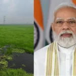 #SurhaTal, #RamsarSite, #BalliaNews, #UttarPradesh, #WorldEnvironmentDay, #WetlandConservation, #MigratoryBirds, #EcoTourism, #YogiAdityanath, #NarendraModi, #JayaprakashNarayanBirdSanctuary, #EnvironmentNews, #UPNews, #Ballia, #RamsarConvention, #NatureConservation, #GoogleDiscover, #HindiNews, #EnvironmentalProtection,Surha Tal Image, Ballia Ramsar Site Photo, Jayaprakash Narayan Bird Sanctuary, Migratory Birds Ballia, World Environment Day UP, Surha Tal Wetland, Yogi Adityanath Photo, Wetland Conservation India, Ramsar Site Certificate,सुरहा ताल फोटो, बलिया रामसर साइट, जयप्रकाश नारायण पक्षी विहार, प्रवासी पक्षी बलिया, विश्व पर्यावरण दिवस यूपी, सुरहा ताल पक्षी विहार, मुख्यमंत्री योगी आदित्यनाथ, पर्यावरण संरक्षण उत्तर प्रदेश, रामसर स्थल प्रमाण पत्र,Surha Tal Ramsar Site, Ballia Ramsar Site, India's 100th Ramsar Site, Uttar Pradesh Ramsar Sites, Jayaprakash Narayan Bird Sanctuary, Ballia News, UP Environment News, World Environment Day, Migratory Birds Surha Tal, Yogi Adityanath, Narendra Modi, Wetland Conservation India, Eco Tourism Uttar Pradesh, Environmental News India,सुरहा ताल रामसर साइट, बलिया सुरहा ताल, भारत का 100वां रामसर स्थल, उत्तर प्रदेश रामसर साइट, जयप्रकाश नारायण पक्षी विहार, बलिया समाचार, यूपी पर्यावरण समाचार, विश्व पर्यावरण दिवस, प्रवासी पक्षी सुरहा ताल, योगी आदित्यनाथ, नरेंद्र मोदी, आर्द्रभूमि संरक्षण, इको टूरिज्म उत्तर प्रदेश, पर्यावरण संरक्षण खबर,