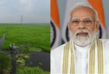 #SurhaTal, #RamsarSite, #BalliaNews, #UttarPradesh, #WorldEnvironmentDay, #WetlandConservation, #MigratoryBirds, #EcoTourism, #YogiAdityanath, #NarendraModi, #JayaprakashNarayanBirdSanctuary, #EnvironmentNews, #UPNews, #Ballia, #RamsarConvention, #NatureConservation, #GoogleDiscover, #HindiNews, #EnvironmentalProtection,Surha Tal Image, Ballia Ramsar Site Photo, Jayaprakash Narayan Bird Sanctuary, Migratory Birds Ballia, World Environment Day UP, Surha Tal Wetland, Yogi Adityanath Photo, Wetland Conservation India, Ramsar Site Certificate,सुरहा ताल फोटो, बलिया रामसर साइट, जयप्रकाश नारायण पक्षी विहार, प्रवासी पक्षी बलिया, विश्व पर्यावरण दिवस यूपी, सुरहा ताल पक्षी विहार, मुख्यमंत्री योगी आदित्यनाथ, पर्यावरण संरक्षण उत्तर प्रदेश, रामसर स्थल प्रमाण पत्र,Surha Tal Ramsar Site, Ballia Ramsar Site, India's 100th Ramsar Site, Uttar Pradesh Ramsar Sites, Jayaprakash Narayan Bird Sanctuary, Ballia News, UP Environment News, World Environment Day, Migratory Birds Surha Tal, Yogi Adityanath, Narendra Modi, Wetland Conservation India, Eco Tourism Uttar Pradesh, Environmental News India,सुरहा ताल रामसर साइट, बलिया सुरहा ताल, भारत का 100वां रामसर स्थल, उत्तर प्रदेश रामसर साइट, जयप्रकाश नारायण पक्षी विहार, बलिया समाचार, यूपी पर्यावरण समाचार, विश्व पर्यावरण दिवस, प्रवासी पक्षी सुरहा ताल, योगी आदित्यनाथ, नरेंद्र मोदी, आर्द्रभूमि संरक्षण, इको टूरिज्म उत्तर प्रदेश, पर्यावरण संरक्षण खबर,