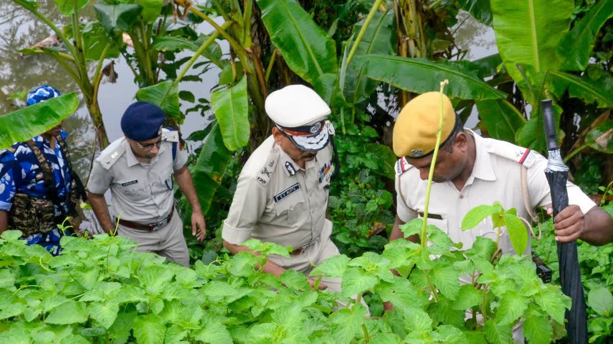 बारुईपुर रेप मर्डर केस, प्रभास मंडल एनकाउंटर, पश्चिम बंगाल क्राइम न्यूज, कोलकाता अपराध खबर, नाबालिग रेप हत्या मामला, पुलिस एनकाउंटर पश्चिम बंगाल, आरोपी की मां का बयान, दक्षिण 24 परगना न्यूज, बंगाल पुलिस कार्रवाई,Baruipur Rape Murder Case, Prabhas Mandal Encounter, West Bengal Crime News, Kolkata Crime News, Minor Rape Murder Case, West Bengal Police Encounter, South 24 Parganas News, Police Action West Bengal,West Bengal News Today, Kolkata Breaking News, Baruipur Latest News, South 24 Parganas Crime News, Bengal Police Encounter News, Minor Girl Murder Case West Bengal, Kolkata Crime Update,#BaruipurCase #WestBengalNews #CrimeNews #PoliceEncounter #KolkataNews #PrabhasMandal #BreakingNews #BengalCrime,