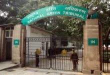 NGT क्रिकेट स्टेडियम रोक, NGT आदेश क्रिकेट मैच, रायपुर क्रिकेट स्टेडियम न्यूज, जयपुर सवाई मानसिंह स्टेडियम, मुंबई डीवाई पाटिल स्टेडियम, क्रिकेट मैच रोक, जल संरक्षण मामला, भूजल इस्तेमाल विवाद, NGT News India, क्रिकेट स्टेडियम पानी विवाद,NGT Cricket Stadium Ban, NGT Order Cricket Matches, Raipur Cricket Stadium News, Jaipur SMS Stadium Ban, DY Patil Stadium Mumbai News, Cricket Match Ban India, Water Conservation Case, Groundwater Usage Issue, NGT India News, Cricket Stadium Water Controversy,NGT आदेश फोटो, क्रिकेट स्टेडियम रोक, रायपुर स्टेडियम, जयपुर क्रिकेट मैदान, मुंबई डीवाई पाटिल स्टेडियम, जल संरक्षण मामला,NGT Cricket Stadium Ban 2026, Cricket Match News Today, Water Crisis India, NGT Latest Order, Raipur Cricket Stadium, Jaipur Stadium News, Mumbai Cricket News, Indian Cricket Update, Environmental News India,#NGT, #CricketNews, #CricketStadium, #WaterConservation, #RaipurNews, #JaipurNews, #MumbaiNews, #IndianCricket, #NGTOrder, #EnvironmentNews, #एनजीटी, #क्रिकेटसमाचार, #क्रिकेटस्टेडियम, #जलसंरक्षण, #रायपुर, #जयपुर, #मुंबई, #पर्यावरणसमाचार, #Groundwater,