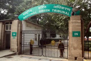 NGT क्रिकेट स्टेडियम रोक, NGT आदेश क्रिकेट मैच, रायपुर क्रिकेट स्टेडियम न्यूज, जयपुर सवाई मानसिंह स्टेडियम, मुंबई डीवाई पाटिल स्टेडियम, क्रिकेट मैच रोक, जल संरक्षण मामला, भूजल इस्तेमाल विवाद, NGT News India, क्रिकेट स्टेडियम पानी विवाद,NGT Cricket Stadium Ban, NGT Order Cricket Matches, Raipur Cricket Stadium News, Jaipur SMS Stadium Ban, DY Patil Stadium Mumbai News, Cricket Match Ban India, Water Conservation Case, Groundwater Usage Issue, NGT India News, Cricket Stadium Water Controversy,NGT आदेश फोटो, क्रिकेट स्टेडियम रोक, रायपुर स्टेडियम, जयपुर क्रिकेट मैदान, मुंबई डीवाई पाटिल स्टेडियम, जल संरक्षण मामला,NGT Cricket Stadium Ban 2026, Cricket Match News Today, Water Crisis India, NGT Latest Order, Raipur Cricket Stadium, Jaipur Stadium News, Mumbai Cricket News, Indian Cricket Update, Environmental News India,#NGT, #CricketNews, #CricketStadium, #WaterConservation, #RaipurNews, #JaipurNews, #MumbaiNews, #IndianCricket, #NGTOrder, #EnvironmentNews, #एनजीटी, #क्रिकेटसमाचार, #क्रिकेटस्टेडियम, #जलसंरक्षण, #रायपुर, #जयपुर, #मुंबई, #पर्यावरणसमाचार, #Groundwater,