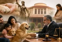 दिल्ली हाईकोर्ट फैसला, डॉग कस्टडी केस, पालतू कुत्ते, पशु अधिकार, पालतू जानवर कानून, दिल्ली समाचार, हाईकोर्ट निर्णय, पशु कल्याण, कानूनी समाचार, पालतू जानवर विवाद, न्यायालय समाचार, भारत कानून समाचार,Delhi High Court judgment, dog custody case, pet rights, animal welfare law, pets are family, Delhi news, legal news India, pet custody dispute, animal rights, court decision India,दिल्ली हाईकोर्ट भवन, पालतू कुत्ता, डॉग कस्टडी मामला, पशु कल्याण संगठन, अदालत की सुनवाई, कानूनी फैसला तस्वीर,Delhi High Court building, pet dog image, dog custody case photo, animal welfare NGO, court hearing image, legal decision image,Delhi HC dog custody case, pets are family court ruling, dog custody dispute India, Delhi High Court latest judgment, pet rights in India, animal welfare law India, legal news today, dog ownership dispute, court decision on pets,#DelhiHighCourt, #DogCustody, #PetRights, #AnimalWelfare, #LegalNews, #CourtDecision, #PetsAreFamily, #BreakingNews, #IndiaNews, #GoogleDiscover, #PetCare, #AnimalRights,