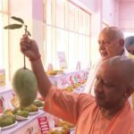 आम महोत्सव 2026, यूपी आम GI टैग, योगी आदित्यनाथ, मलिहाबाद दशहरी, उत्तर प्रदेश आम निर्यात, लखनऊ समाचार, GI टैग आम, काकोरी ब्रांड, आम प्रदर्शनी, किसान समाचार,Aam Mahotsav 2026, UP Mango GI Tag, Yogi Adityanath, Malihabad Dussehri, Uttar Pradesh Mango Export, Lucknow News, GI Tag Mango, Kakori Brand, Mango Festival India, Farmer News,आम महोत्सव फोटो, योगी आदित्यनाथ, लखनऊ इंदिरा गांधी प्रतिष्ठान, दशहरी आम, मलिहाबाद आम, GI टैग, किसान सम्मेलन, आम प्रदर्शनी, उत्तर प्रदेश कृषि, निर्यात समाचार,Mango Festival Photo, Yogi Adityanath Image, Indira Gandhi Pratishthan Lucknow, Dussehri Mango, Malihabad Mango, GI Tag India, Farmer Meet, Mango Exhibition, UP Agriculture, Export News,लखनऊ, उत्तर प्रदेश, आम महोत्सव 2026, योगी आदित्यनाथ, कृषि विभाग, मलिहाबाद, दशहरी आम, GI टैग, आम निर्यात, किसान, फल उत्पादन, इंदिरा गांधी प्रतिष्ठान, कृषि समाचार, निर्यात समाचार,Lucknow News, Uttar Pradesh, Mango Festival 2026, Yogi Adityanath, Agriculture Department, Malihabad Mango, Dussehri Mango, GI Tag, Mango Export, Farmers News, Fruit Industry, Agriculture News India,#AamMahotsav2026, #MangoFestival, #GITag, #DussehriMango, #Malihabad, #YogiAdityanath, #UttarPradesh, #Farmers, #AgricultureNews, #Export, #GoogleDiscover, #HindiNews,