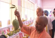 आम महोत्सव 2026, यूपी आम GI टैग, योगी आदित्यनाथ, मलिहाबाद दशहरी, उत्तर प्रदेश आम निर्यात, लखनऊ समाचार, GI टैग आम, काकोरी ब्रांड, आम प्रदर्शनी, किसान समाचार,Aam Mahotsav 2026, UP Mango GI Tag, Yogi Adityanath, Malihabad Dussehri, Uttar Pradesh Mango Export, Lucknow News, GI Tag Mango, Kakori Brand, Mango Festival India, Farmer News,आम महोत्सव फोटो, योगी आदित्यनाथ, लखनऊ इंदिरा गांधी प्रतिष्ठान, दशहरी आम, मलिहाबाद आम, GI टैग, किसान सम्मेलन, आम प्रदर्शनी, उत्तर प्रदेश कृषि, निर्यात समाचार,Mango Festival Photo, Yogi Adityanath Image, Indira Gandhi Pratishthan Lucknow, Dussehri Mango, Malihabad Mango, GI Tag India, Farmer Meet, Mango Exhibition, UP Agriculture, Export News,लखनऊ, उत्तर प्रदेश, आम महोत्सव 2026, योगी आदित्यनाथ, कृषि विभाग, मलिहाबाद, दशहरी आम, GI टैग, आम निर्यात, किसान, फल उत्पादन, इंदिरा गांधी प्रतिष्ठान, कृषि समाचार, निर्यात समाचार,Lucknow News, Uttar Pradesh, Mango Festival 2026, Yogi Adityanath, Agriculture Department, Malihabad Mango, Dussehri Mango, GI Tag, Mango Export, Farmers News, Fruit Industry, Agriculture News India,#AamMahotsav2026, #MangoFestival, #GITag, #DussehriMango, #Malihabad, #YogiAdityanath, #UttarPradesh, #Farmers, #AgricultureNews, #Export, #GoogleDiscover, #HindiNews,