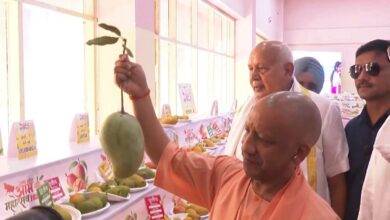 आम महोत्सव 2026, यूपी आम GI टैग, योगी आदित्यनाथ, मलिहाबाद दशहरी, उत्तर प्रदेश आम निर्यात, लखनऊ समाचार, GI टैग आम, काकोरी ब्रांड, आम प्रदर्शनी, किसान समाचार,Aam Mahotsav 2026, UP Mango GI Tag, Yogi Adityanath, Malihabad Dussehri, Uttar Pradesh Mango Export, Lucknow News, GI Tag Mango, Kakori Brand, Mango Festival India, Farmer News,आम महोत्सव फोटो, योगी आदित्यनाथ, लखनऊ इंदिरा गांधी प्रतिष्ठान, दशहरी आम, मलिहाबाद आम, GI टैग, किसान सम्मेलन, आम प्रदर्शनी, उत्तर प्रदेश कृषि, निर्यात समाचार,Mango Festival Photo, Yogi Adityanath Image, Indira Gandhi Pratishthan Lucknow, Dussehri Mango, Malihabad Mango, GI Tag India, Farmer Meet, Mango Exhibition, UP Agriculture, Export News,लखनऊ, उत्तर प्रदेश, आम महोत्सव 2026, योगी आदित्यनाथ, कृषि विभाग, मलिहाबाद, दशहरी आम, GI टैग, आम निर्यात, किसान, फल उत्पादन, इंदिरा गांधी प्रतिष्ठान, कृषि समाचार, निर्यात समाचार,Lucknow News, Uttar Pradesh, Mango Festival 2026, Yogi Adityanath, Agriculture Department, Malihabad Mango, Dussehri Mango, GI Tag, Mango Export, Farmers News, Fruit Industry, Agriculture News India,#AamMahotsav2026, #MangoFestival, #GITag, #DussehriMango, #Malihabad, #YogiAdityanath, #UttarPradesh, #Farmers, #AgricultureNews, #Export, #GoogleDiscover, #HindiNews,