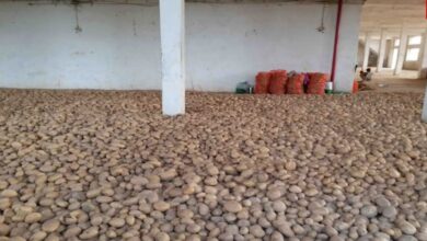 फर्रुखाबाद कोल्ड स्टोरेज FIR, आलू भंडारण संकट, किसानों की समस्या, कोल्ड स्टोरेज पर कार्रवाई, फर्रुखाबाद समाचार, उत्तर प्रदेश किसान समाचार, शीत गृह विवाद, आलू किसान, उद्यान विभाग, कोल्ड स्टोरेज लाइसेंस,Farrukhabad Cold Storage FIR, Potato Storage Crisis, Farmers News UP, Cold Storage Action, Uttar Pradesh Farmers, Potato Farmers, Cold Storage License, Horticulture Department, Farmer Issues, Potato Storage News,फर्रुखाबाद कोल्ड स्टोरेज, आलू भंडारण, किसानों की परेशानी, शीत गृह, जिला उद्यान अधिकारी, एफआईआर, उत्तर प्रदेश कृषि समाचार, किसान आंदोलन, कृषि उत्पाद, भंडारण संकट,Farrukhabad Cold Storage, Potato Storage, Farmers Problem, Cold Storage FIR, Horticulture Officer, UP Agriculture News, Potato Farmers, Storage Crisis, Farmer News, Agriculture Storage,फर्रुखाबाद, उत्तर प्रदेश, आलू भंडारण, कोल्ड स्टोरेज समाचार, किसान समाचार, जिला उद्यान विभाग, फायर सेफ्टी नियम, एनओसी विवाद, कृषि समाचार, शीत गृह लाइसेंस, आलू किसान, अन्नदाता,Farrukhabad News, Uttar Pradesh News, Potato Storage, Cold Storage News, Farmers News India, Horticulture Department, Fire Safety Rules, NOC Issue, Agriculture News, Potato Farmers, Storage Facility,#Farrukhabad, #ColdStorage, #PotatoFarmers, #FarmersNews, #UPNews, #AgricultureNews, #PotatoStorage, #BreakingNews, #UttarPradesh, #HindiNews, #GoogleDiscover,