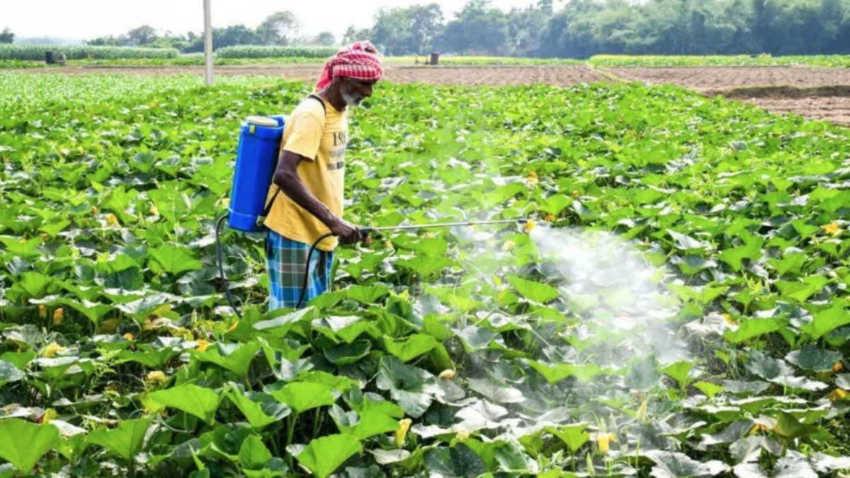 यूपी किसानों की टोकन मनी कब मिलेगी, कृषि यंत्र की टोकन मनी वापस कैसे मिलेगी, UP farmer token money refund 2026, UP agriculture equipment subsidy token money, Uttar Pradesh agriculture department token money refund, Yogi government farmer scheme 2026, UP farmers pending token money, कृषि यंत्र ई लॉटरी टोकन मनी, UP agriculture machinery subsidy latest news, Surya Pratap Shahi farmer news, देवरिया टोकन मनी किसान, महराजगंज टोकन मनी किसान, UP farmers token money refund, agriculture equipment token money refund, Yogi government farmer order, UP agriculture subsidy scheme, pending farmer token money, UP agriculture department farmers, agriculture machinery subsidy Uttar Pradesh,