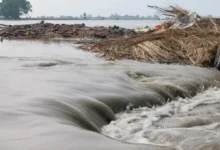 यूपी में बाढ़ का खतरा, यूपी बाढ़ अलर्ट, उत्तर प्रदेश बाढ़ 2026, यूपी में बाढ़ की स्थिति, यूपी की नदियां खतरे के निशान से ऊपर, घाघरा नदी बाढ़, गंगा नदी बाढ़, सरयू नदी जलस्तर, शारदा नदी जलस्तर, राप्ती नदी बाढ़, वाराणसी गंगा बाढ़, प्रयागराज बाढ़, सीतापुर बाढ़, बहराइच बाढ़, बाराबंकी बाढ़, गोंडा बाढ़, अयोध्या बाढ़, चित्रकूट बाढ़, उन्नाव बाढ़, कन्नौज बाढ़, उत्तर प्रदेश बारिश, यूपी बारिश अलर्ट, यूपी मौसम अपडेट, यूपी फ्लड अलर्ट, बाढ़ प्रभावित गांव, उत्तर प्रदेश बाढ़ न्यूज, UP Flood Alert 2026, Uttar Pradesh Flood News, UP Flood News Today, Uttar Pradesh Flood Alert, UP Flood Situation, UP Rivers Above Danger Mark, Ghaghra River Flood, Ganga Flood Uttar Pradesh, Saryu River Water Level, Sharda River Flood, Rapti River Flood, Varanasi Ganga Flood, Prayagraj Flood, Sitapur Flood, Bahraich Flood, Barabanki Flood, Gonda Flood, Ayodhya Flood, Chitrakoot Flood, Unnao Flood, Kannauj Flood, UP Rain Alert, Uttar Pradesh Weather News, Flood Affected Villages UP,यूपी में बाढ़ का खतरा कितने गांवों पर, यूपी में कौन सी नदियां खतरे के निशान से ऊपर, आज यूपी में बाढ़ की स्थिति, उत्तर प्रदेश में बाढ़ का अलर्ट, बहराइच घाघरा नदी का जलस्तर, वाराणसी गंगा का जलस्तर कितना है, प्रयागराज में बाढ़ की स्थिति, सीतापुर में बाढ़ का खतरा, बाराबंकी सरयू नदी जलस्तर, गोंडा घाघरा नदी बाढ़, चित्रकूट मंदाकिनी नदी बाढ़, UP Flood Alert Today, Uttar Pradesh Flood Latest News, Ganga River Flood Varanasi, Ghaghra River Flood Bahraich, UP Flood Affected Villages,#UPFloodAlert #UPFloodNews #UttarPradeshFlood #UPWeather #UPRainAlert #FloodAlert #FloodNews #GangaFlood #YamunaFlood #GhaghraRiver #SaryuRiver #RaptiRiver #VaranasiFlood #PrayagrajFlood #SitapurFlood #BahraichFlood #BarabankiFlood #GondaFlood #AyodhyaFlood #ChitrakootFlood #UnnaoNews #UttarPradeshNews #यूपीबाढ़ #बाढ़अलर्ट #उत्तरप्रदेशबाढ़ #यूपीमौसम #गंगाबाढ़ #घाघराबाढ़ #सरयूबाढ़ #राप्तीबाढ़ #वाराणसीबाढ़ #प्रयागराजबाढ़ ,