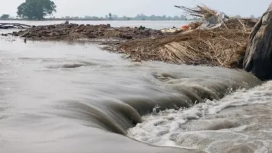 यूपी में बाढ़ का खतरा, यूपी बाढ़ अलर्ट, उत्तर प्रदेश बाढ़ 2026, यूपी में बाढ़ की स्थिति, यूपी की नदियां खतरे के निशान से ऊपर, घाघरा नदी बाढ़, गंगा नदी बाढ़, सरयू नदी जलस्तर, शारदा नदी जलस्तर, राप्ती नदी बाढ़, वाराणसी गंगा बाढ़, प्रयागराज बाढ़, सीतापुर बाढ़, बहराइच बाढ़, बाराबंकी बाढ़, गोंडा बाढ़, अयोध्या बाढ़, चित्रकूट बाढ़, उन्नाव बाढ़, कन्नौज बाढ़, उत्तर प्रदेश बारिश, यूपी बारिश अलर्ट, यूपी मौसम अपडेट, यूपी फ्लड अलर्ट, बाढ़ प्रभावित गांव, उत्तर प्रदेश बाढ़ न्यूज, UP Flood Alert 2026, Uttar Pradesh Flood News, UP Flood News Today, Uttar Pradesh Flood Alert, UP Flood Situation, UP Rivers Above Danger Mark, Ghaghra River Flood, Ganga Flood Uttar Pradesh, Saryu River Water Level, Sharda River Flood, Rapti River Flood, Varanasi Ganga Flood, Prayagraj Flood, Sitapur Flood, Bahraich Flood, Barabanki Flood, Gonda Flood, Ayodhya Flood, Chitrakoot Flood, Unnao Flood, Kannauj Flood, UP Rain Alert, Uttar Pradesh Weather News, Flood Affected Villages UP,यूपी में बाढ़ का खतरा कितने गांवों पर, यूपी में कौन सी नदियां खतरे के निशान से ऊपर, आज यूपी में बाढ़ की स्थिति, उत्तर प्रदेश में बाढ़ का अलर्ट, बहराइच घाघरा नदी का जलस्तर, वाराणसी गंगा का जलस्तर कितना है, प्रयागराज में बाढ़ की स्थिति, सीतापुर में बाढ़ का खतरा, बाराबंकी सरयू नदी जलस्तर, गोंडा घाघरा नदी बाढ़, चित्रकूट मंदाकिनी नदी बाढ़, UP Flood Alert Today, Uttar Pradesh Flood Latest News, Ganga River Flood Varanasi, Ghaghra River Flood Bahraich, UP Flood Affected Villages,#UPFloodAlert #UPFloodNews #UttarPradeshFlood #UPWeather #UPRainAlert #FloodAlert #FloodNews #GangaFlood #YamunaFlood #GhaghraRiver #SaryuRiver #RaptiRiver #VaranasiFlood #PrayagrajFlood #SitapurFlood #BahraichFlood #BarabankiFlood #GondaFlood #AyodhyaFlood #ChitrakootFlood #UnnaoNews #UttarPradeshNews #यूपीबाढ़ #बाढ़अलर्ट #उत्तरप्रदेशबाढ़ #यूपीमौसम #गंगाबाढ़ #घाघराबाढ़ #सरयूबाढ़ #राप्तीबाढ़ #वाराणसीबाढ़ #प्रयागराजबाढ़ ,