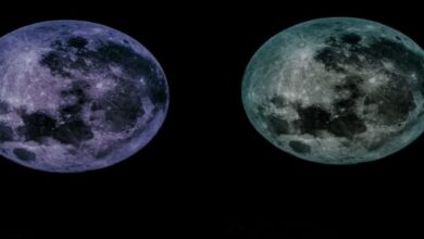 #SturgeonMoon2026, #SturgeonMoon, #LunarEclipse2026, #LunarEclipse, #AugustFullMoon, #FullMoon2026, #Moon, #Astronomy, #AstronomyNews, #ScienceNews, #SpaceNews, #ChandraGrahan, #ChandraGrahan2026, #Purnima, #स्टर्जनमून, #चंद्रग्रहण, #पूर्णिमा, #खगोलविज्ञान, #गोरखपुर, #उत्तरप्रदेश, #अमरपालसिंह, #वीरबहादुरसिंहनक्षत्रशाला, Sturgeon Moon 2026, स्टर्जन मून 2026, स्टर्जन मून, 28 अगस्त 2026 पूर्णिमा, अगस्त पूर्णिमा, चंद्र ग्रहण 2026, 28 अगस्त चंद्र ग्रहण, भारत में चंद्र ग्रहण, चंद्र ग्रहण भारत में दिखाई देगा या नहीं, पूर्णिमा 2026, आज का चांद, आज रात का चांद, खगोलीय घटना, गोरखपुर खगोल विज्ञान, अमर पाल सिंह, वीर बहादुर सिंह नक्षत्रशाला गोरखपुर, Sturgeon Moon 2026, Sturgeon Moon August 2026, August Full Moon 2026, Lunar Eclipse 2026, August 28 Lunar Eclipse, Lunar Eclipse India, Sturgeon Moon India, Full Moon August 28 2026, Moon Eclipse Timing India, Astronomy News India, Gorakhpur Astronomy, Amar Pal Singh, Veer Bahadur Singh Planetarium,