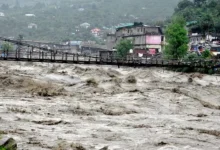 हिमाचल में बारिश-भूस्खलन, हिमाचल प्रदेश मानसून, हिमाचल में भारी बारिश, हिमाचल में भूस्खलन, हिमाचल लैंडस्लाइड, हिमाचल बारिश से नुकसान, हिमाचल मानसून में मौतें, हिमाचल में 163 मौतें, हिमाचल में 257 घायल, हिमाचल में 910 करोड़ नुकसान, हिमाचल सड़क हादसे, लाहौल स्पीति भूस्खलन, चंबा सड़क हादसे, शिमला बारिश, कुल्लू सड़क हादसे, कांगड़ा मानसून हादसे, राज्य आपदा प्रबंधन प्राधिकरण हिमाचल, Himachal rain landslide, Himachal Pradesh monsoon, Himachal heavy rain, Himachal landslide news, Himachal rain death toll, Himachal Pradesh rain deaths, Himachal monsoon deaths, 163 deaths Himachal, 257 injured Himachal, Himachal rain damage, Himachal Pradesh disaster, Himachal road accidents, Lahaul Spiti landslide, Chamba road accidents, Shimla rain news, Kullu road accident, Kangra monsoon news, Himachal disaster management authority, #HimachalPradesh #HimachalRain #HimachalLandslide #HimachalMonsoon #HimachalNews #HeavyRain #Landslide #Monsoon #RainAlert #HimachalDisaster #RoadAccident #LahaulSpiti #Chamba #Shimla #Kullu #Kangra #हिमाचलप्रदेश #हिमाचलबारिश #भूस्खलन #मानसून #प्राकृतिकआपदा #हिमाचलखबर #बारिशकाकहर #सड़कहादसा #लाहौलस्पीति #चंबा #शिमला #कुल्लू,