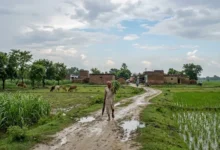 #UPWeatherToday, #UPWeather, #UttarPradeshWeather, #UPWeatherNews, #UPRain, #UPMonsoon, #MonsoonUpdate, #LucknowWeather, #LucknowRain, #AyodhyaWeather, #BastiWeather, #MeerutWeather, #UPWeatherForecast, #RainAlert, #WeatherUpdate, #उत्तरप्रदेशमौसम, #यूपीमौसम, #यूपीबारिश, #मानसून, #लखनऊमौसम, #अयोध्यामौसम, #मौसमसमाचार, UP Weather Today, यूपी मौसम आज, उत्तर प्रदेश मौसम, यूपी मौसम समाचार, यूपी में बारिश, यूपी में आज का मौसम, उत्तर प्रदेश में बारिश का पूर्वानुमान, यूपी बारिश अपडेट, लखनऊ मौसम आज, लखनऊ में बारिश, अयोध्या मौसम, बस्ती मौसम, मेरठ मौसम, अवध का मौसम, यूपी मानसून, यूपी मानसून अपडेट, उत्तर प्रदेश मौसम विभाग, यूपी मौसम विभाग बारिश अलर्ट, हल्की बारिश यूपी, अगले 48 घंटे यूपी मौसम, यूपी मौसम 14 सितंबर 2026, उत्तर प्रदेश मौसम 14 सितंबर 2026, लखनऊ मौसम 14 सितंबर 2026, अयोध्या मौसम 14 सितंबर 2026, मौसम समाचार, उत्तर प्रदेश मौसम समाचार, UP Weather Today, Uttar Pradesh Weather Today, UP Weather News, Uttar Pradesh Weather News, UP Rain Alert, Uttar Pradesh Rain Forecast, UP Monsoon Update, Uttar Pradesh Monsoon, Lucknow Weather Today, Lucknow Rain Forecast, Ayodhya Weather Today, Basti Weather, Meerut Weather, UP Weather Forecast 14 September 2026, Uttar Pradesh Weather Forecast 14 September 2026, UP Rain News, UP Weather Update, Uttar Pradesh Rain Update, Light Rain in UP, UP Weather Next 48 Hours, Monsoon Activity in Uttar Pradesh, Lucknow Weather Update, UP IMD Weather Forecast, Uttar Pradesh Weather Department,