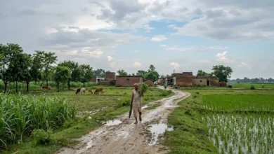 #UPWeatherToday, #UPWeather, #UttarPradeshWeather, #UPWeatherNews, #UPRain, #UPMonsoon, #MonsoonUpdate, #LucknowWeather, #LucknowRain, #AyodhyaWeather, #BastiWeather, #MeerutWeather, #UPWeatherForecast, #RainAlert, #WeatherUpdate, #उत्तरप्रदेशमौसम, #यूपीमौसम, #यूपीबारिश, #मानसून, #लखनऊमौसम, #अयोध्यामौसम, #मौसमसमाचार, UP Weather Today, यूपी मौसम आज, उत्तर प्रदेश मौसम, यूपी मौसम समाचार, यूपी में बारिश, यूपी में आज का मौसम, उत्तर प्रदेश में बारिश का पूर्वानुमान, यूपी बारिश अपडेट, लखनऊ मौसम आज, लखनऊ में बारिश, अयोध्या मौसम, बस्ती मौसम, मेरठ मौसम, अवध का मौसम, यूपी मानसून, यूपी मानसून अपडेट, उत्तर प्रदेश मौसम विभाग, यूपी मौसम विभाग बारिश अलर्ट, हल्की बारिश यूपी, अगले 48 घंटे यूपी मौसम, यूपी मौसम 14 सितंबर 2026, उत्तर प्रदेश मौसम 14 सितंबर 2026, लखनऊ मौसम 14 सितंबर 2026, अयोध्या मौसम 14 सितंबर 2026, मौसम समाचार, उत्तर प्रदेश मौसम समाचार, UP Weather Today, Uttar Pradesh Weather Today, UP Weather News, Uttar Pradesh Weather News, UP Rain Alert, Uttar Pradesh Rain Forecast, UP Monsoon Update, Uttar Pradesh Monsoon, Lucknow Weather Today, Lucknow Rain Forecast, Ayodhya Weather Today, Basti Weather, Meerut Weather, UP Weather Forecast 14 September 2026, Uttar Pradesh Weather Forecast 14 September 2026, UP Rain News, UP Weather Update, Uttar Pradesh Rain Update, Light Rain in UP, UP Weather Next 48 Hours, Monsoon Activity in Uttar Pradesh, Lucknow Weather Update, UP IMD Weather Forecast, Uttar Pradesh Weather Department,