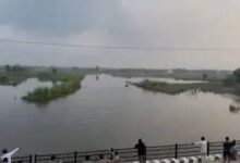 लखनऊ सई नदी हादसा, सई नदी में डूबे युवक, लखनऊ में गणपति विसर्जन हादसा, गणपति विसर्जन हादसा लखनऊ, लखनऊ सई नदी दुर्घटना, मोहनलालगंज सई नदी हादसा, सिसेंडी गांव हादसा, लखनऊ डूबने की घटना, सई नदी में दो शव बरामद, प्रमोद कुमार की तलाश, हरिप्रसाद का शव बरामद, धीरज का शव बरामद, SDRF सर्च ऑपरेशन लखनऊ, लखनऊ क्राइम न्यूज, लखनऊ हादसा खबर, उत्तर प्रदेश हादसा, लखनऊ लेटेस्ट न्यूज, लखनऊ लोकल न्यूज, उत्तर प्रदेश समाचार, दुर्घटना समाचार,Lucknow Sai River Accident, Lucknow Sai River drowning, Sai River accident Lucknow, Ganpati Visarjan accident Lucknow, Lucknow Ganesh immersion accident, Lucknow drowning news, Sai River drowning news, two bodies recovered in Lucknow, SDRF search operation Lucknow, Pramod Kumar missing, Hariprasad body recovered, Dheeraj body recovered, Sisendi village Lucknow, Mohanlalganj accident, Lucknow latest news, Lucknow local news, Uttar Pradesh accident news, Uttar Pradesh latest news, Ganpati immersion accident, Sai River Lucknow news,#लखनऊ, #Lucknow, #सईनदी, #SaiRiver, #लखनऊहादसा, #LucknowAccident, #गणपतिविसर्जन, #GanpatiVisarjan, #GaneshVisarjan, #मोहनलालगंज, #Mohanlalganj, #सिसेंडी, #Sisendi, #SDRF, #SDRFLucknow, #उत्तरप्रदेश, #UttarPradesh, #AccidentNews, #LucknowNews, #UPNews,