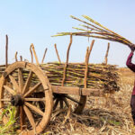 गन्ना किसान, गन्ना किसानों की समस्या, गन्ना किसान समाचार, केंद्र सरकार गन्ना किसान, गन्ना किसानों के लिए हाईलेवल कमेटी, चीनी मिलों की जांच, गन्ने की तौल में गड़बड़ी, चीनी रिकवरी में गड़बड़ी, गन्ना रिकवरी के आंकड़े, गन्ने का उचित लाभकारी मूल्य, गन्ना FRP, शिवराज सिंह चौहान, प्रल्हाद जोशी, कर्नाटक गन्ना किसान, महाराष्ट्र गन्ना किसान, कृषि समाचार, किसान समाचार,Sugarcane Farmers News, Sugarcane Farmers Committee, Sugarcane Recovery Dispute, Sugarcane Weighing Issues, Sugar Mill Inspection, Sugarcane FRP, Fair and Remunerative Price, Shivraj Singh Chouhan, Pralhad Joshi, Karnataka Sugarcane Farmers, Maharashtra Sugarcane Farmers, Agriculture News India, Farmers Issues India,#SugarcaneFarmers, #SugarcaneNews, #FarmersNews, #ShivrajSinghChouhan, #PralhadJoshi, #FRP, #AgricultureNews, #किसानसमाचार, #गन्नाकिसान, #केंद्रसरकार,